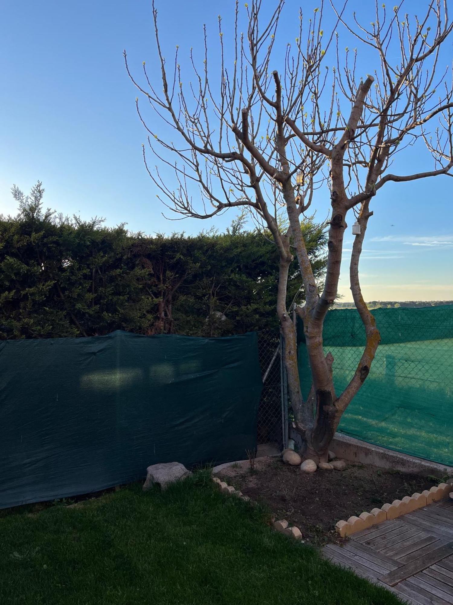 La Casa Del Cipres Villa Aldeamayor de San Martín Kültér fotó